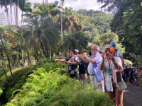 /album/fotogaleria-karibik-island-hopping-zajezd-vy-a-my/island-hopping-zajazd-00-30-jpg1/